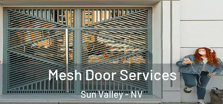 Mesh Door Services Sun Valley - NV